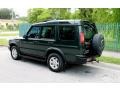 2003 Vienna Green Land Rover Discovery S  photo #7