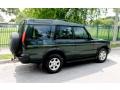 2003 Vienna Green Land Rover Discovery S  photo #8