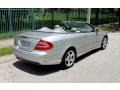 2005 Brilliant Silver Metallic Mercedes-Benz CLK 500 Cabriolet  photo #10