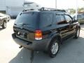 2003 Black Clearcoat Ford Escape XLT V6 4WD  photo #5