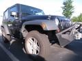 Black - Wrangler Sport 4x4 Photo No. 4