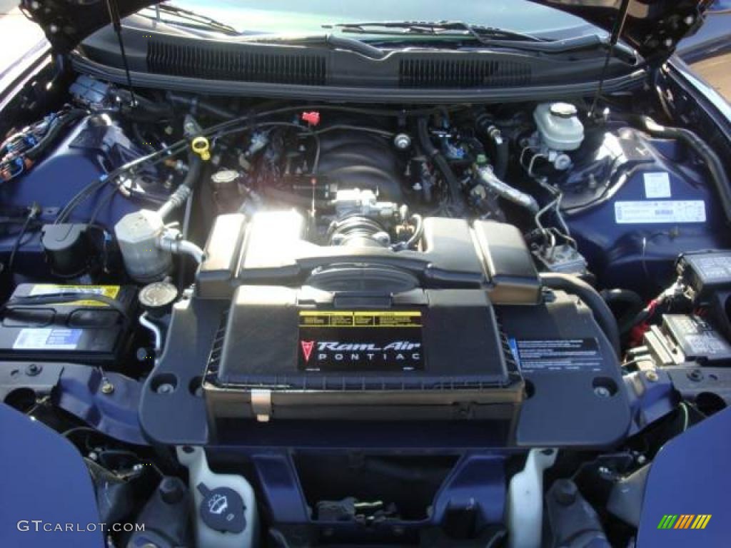 2002 Firebird Trans Am WS-6 Coupe - Navy Blue Metallic / Ebony Black photo #16