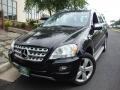 Black - ML 350 4Matic Photo No. 1