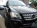 Black - ML 350 4Matic Photo No. 13
