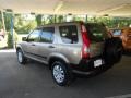 Sahara Sand Metallic - CR-V EX 4WD Photo No. 2