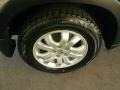 Sahara Sand Metallic - CR-V EX 4WD Photo No. 12