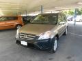Sahara Sand Metallic - CR-V EX 4WD Photo No. 27