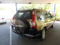 Sahara Sand Metallic - CR-V EX 4WD Photo No. 30