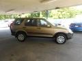 Sahara Sand Metallic - CR-V EX 4WD Photo No. 31