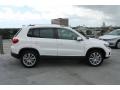 Candy White - Tiguan SE Photo No. 9