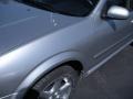Sheer Silver - Maxima SE Photo No. 10