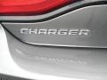 2011 Tungsten Metallic Dodge Charger SE  photo #20