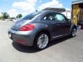 Platinum Gray Metallic - Beetle 2.5L Photo No. 2