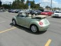 2008 Gecko Green Volkswagen New Beetle SE Convertible  photo #3