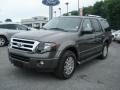 2012 Sterling Gray Metallic Ford Expedition Limited 4x4  photo #4