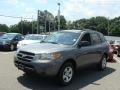 2009 Steel Gray Hyundai Santa Fe GLS  photo #3