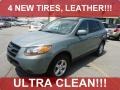Platinum Sage - Santa Fe GLS 4WD Photo No. 1