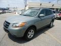 2008 Platinum Sage Hyundai Santa Fe GLS 4WD  photo #2