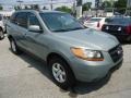 2008 Platinum Sage Hyundai Santa Fe GLS 4WD  photo #4