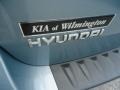 2008 Platinum Sage Hyundai Santa Fe GLS 4WD  photo #40