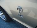 Vapor Silver Metallic - Mustang Shelby GT500 Coupe Photo No. 30