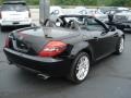 Black - SLK 300 Roadster Photo No. 6