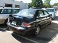 Labrador Black Pearl - Lancer OZ Rally Photo No. 2