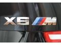 2010 BMW X6 M Standard X6 M Model Marks and Logos