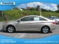 Camel Pearl - Sonata GLS Photo No. 2