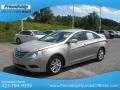 Camel Pearl - Sonata GLS Photo No. 3
