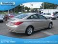 Camel Pearl - Sonata GLS Photo No. 7