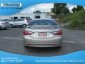 Camel Pearl - Sonata GLS Photo No. 8