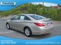 Camel Pearl - Sonata GLS Photo No. 9