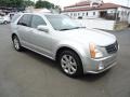 Light Platinum - SRX V8 Photo No. 3