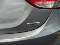 2013 Titanium Gray Metallic Hyundai Elantra Limited  photo #4