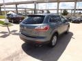 Dolphin Gray Mica - CX-9 Touring Photo No. 5
