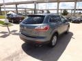 2012 Dolphin Gray Mica Mazda CX-9 Touring  photo #5