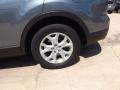 Dolphin Gray Mica - CX-9 Touring Photo No. 20
