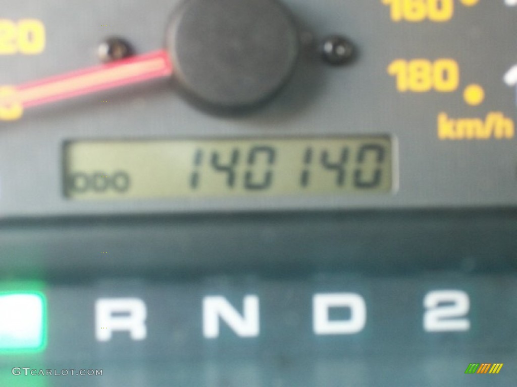 1999 4Runner 4x4 - Millennium Silver Metallic / Oak photo #13