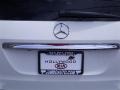 Arctic White - GL 450 4Matic Photo No. 19