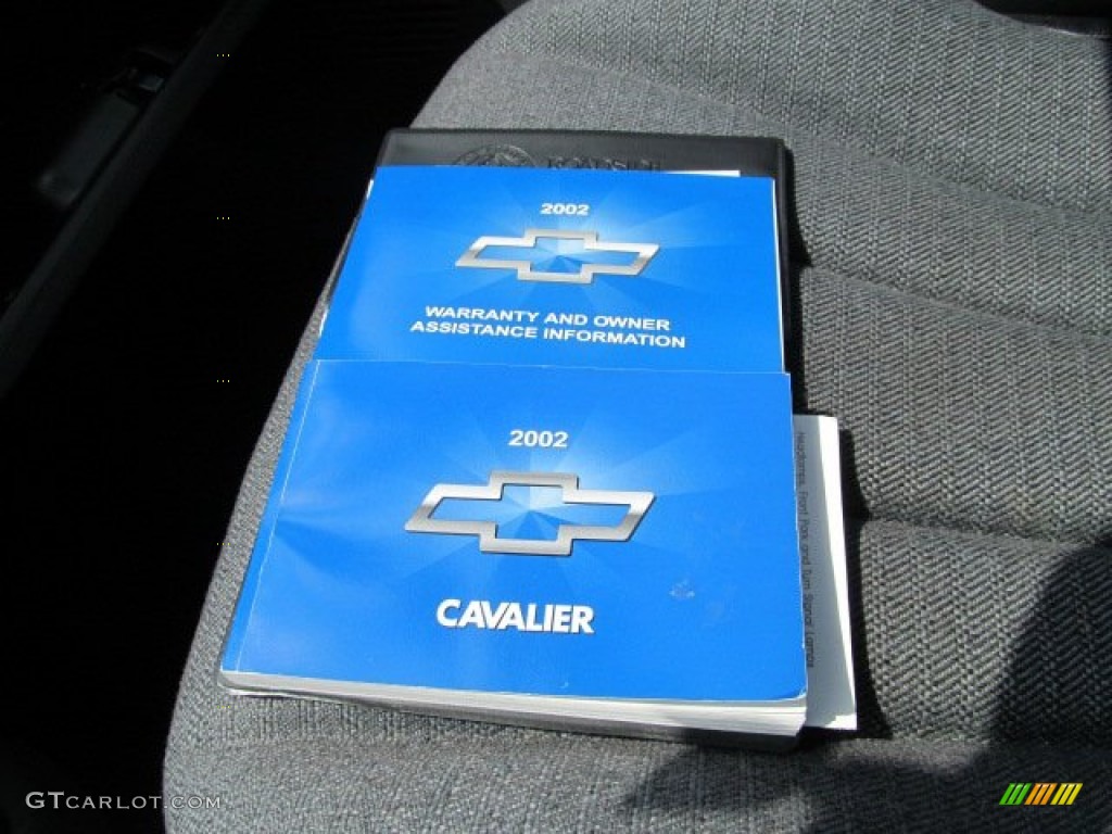 2002 Cavalier Sedan - Sandrift Metallic / Graphite photo #18