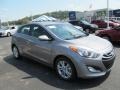 Titanium Gray Metallic - Elantra GT Photo No. 1