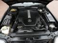 5.0 Liter SOHC 24-Valve V8 Engine for 1999 Mercedes-Benz SL 500 Sport Roadster #68568853