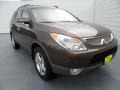 2011 Sahara Bronze Metallic Hyundai Veracruz Limited #68523082