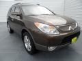 Sahara Bronze Metallic 2011 Hyundai Veracruz Limited