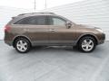 Sahara Bronze Metallic - Veracruz Limited Photo No. 2