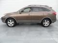 Sahara Bronze Metallic - Veracruz Limited Photo No. 5