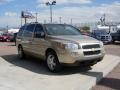 2006 Amber Bronze Metallic Chevrolet Uplander LT  photo #17