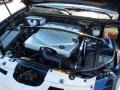 Blue Chip - SRX V6 Photo No. 25