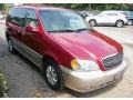 2005 Ruby Red Metallic Kia Sedona EX  photo #12